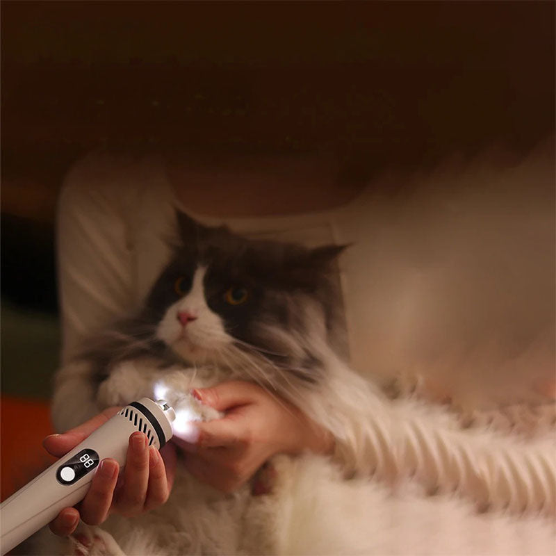 Säker kloslip för husdjur med inbyggt LED-ljus, vilket underlättar precis kloklippning för både hund och katt.