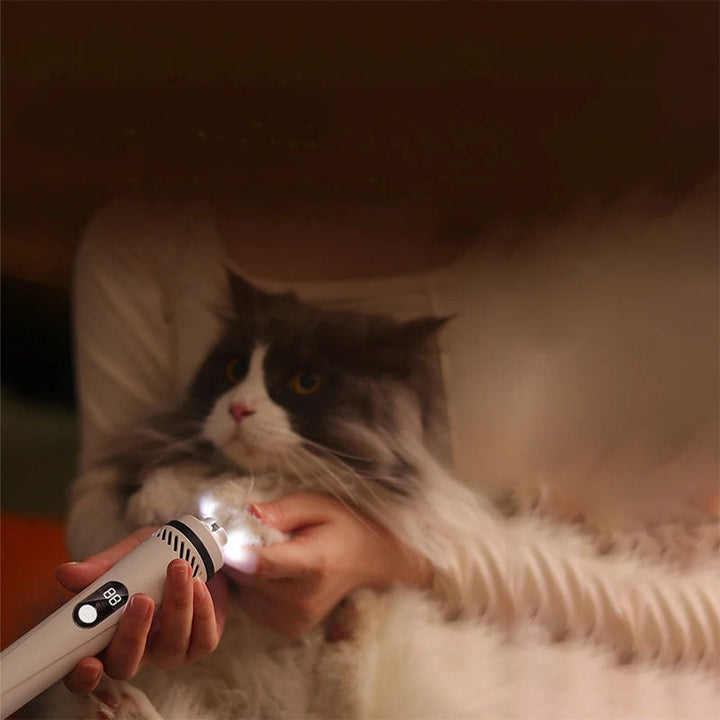 Säker kloslip för husdjur med inbyggt LED-ljus, vilket underlättar precis kloklippning för både hund och katt.