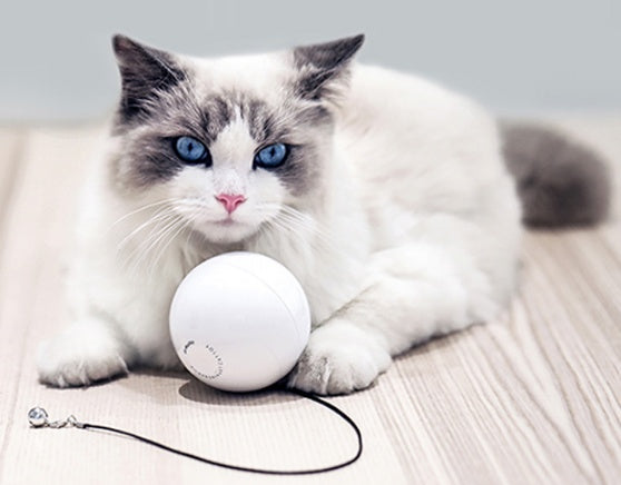 Elektrisk laserboll för katt, självrörande leksak för aktiv lek och jaktinstinkt hos husdjur.