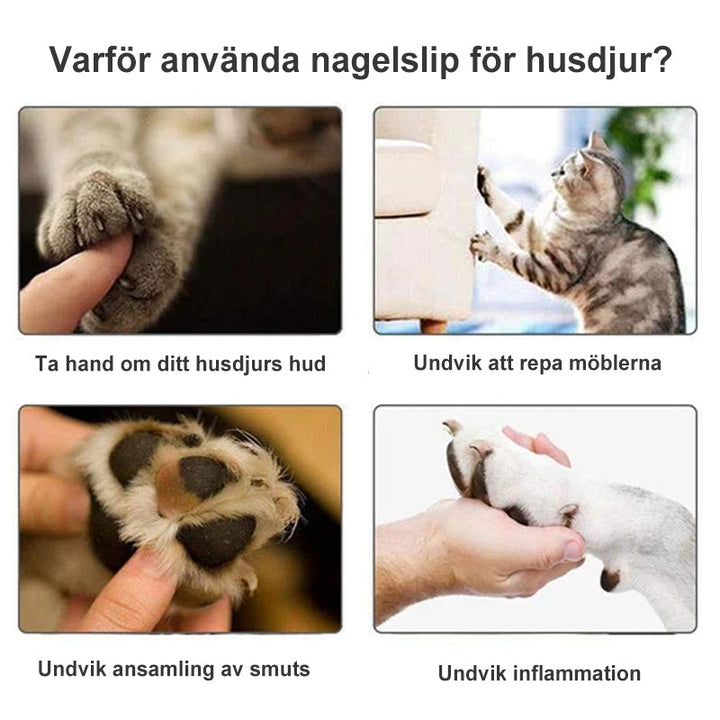 Elektrisk nagelslip för husdjur med USB-laddning, låg ljudnivå; vit enhet på neutral bakgrund.