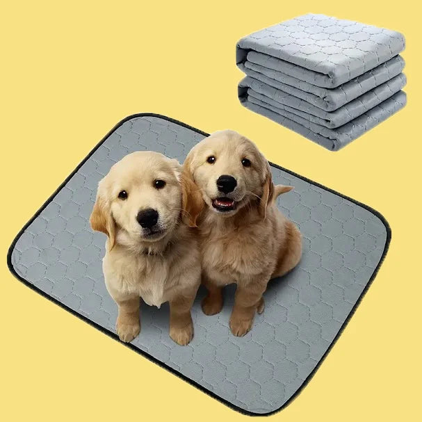 Mångsidig hundmatta: Tvättbar, absorberande och perfekt för alla husdjursbehov.