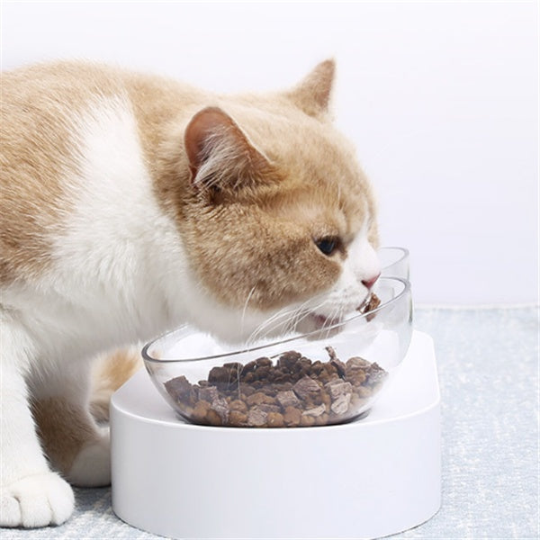Enkel, ergonomisk kattmatskål med lutning. Förhindrar spill och ger en angenäm matstund för din katt.