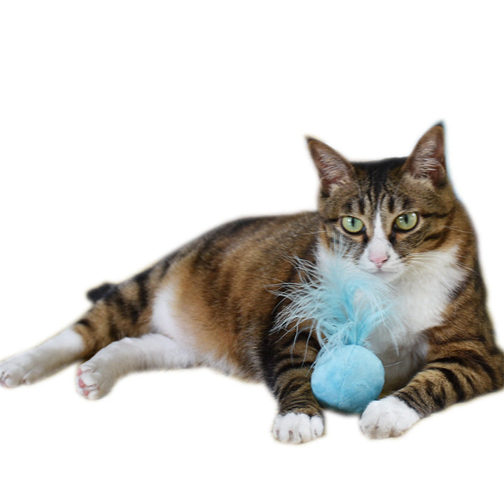 Färgglad fjäderleksak för katt med katnip som stimulerar lek- och jaktinstinkter hos husdjuret.