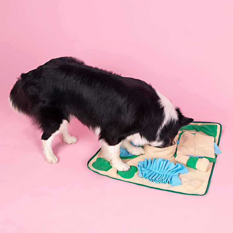 Färgglad snuffelmat i fleece för hund. Perfekt för mental aktivering, matsöksträning och som slow feeder.
