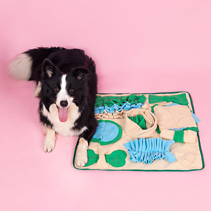 Snuffelmat för hund, utformad som en pedagogisk hundleksak för mental stimulans och långsam utfodring.