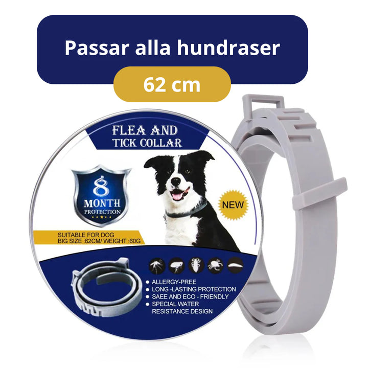 Fästinghalsband, ett viktigt tillbehör för hund och katt för att skydda dem mot oönskade fästingar.