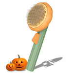 Pumpa Orange
