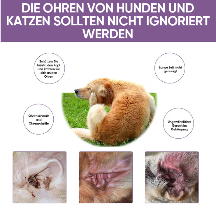 Närbild på flaska med appliceringspip för öronvård. Enkel och skonsam öronrengöring för hund & katt.