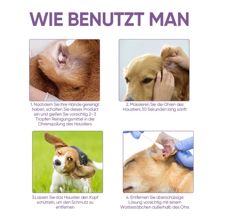 Före och efter öronrengöring för hund. Smutsiga öron blir rena med effektiv öronvård för husdjur.