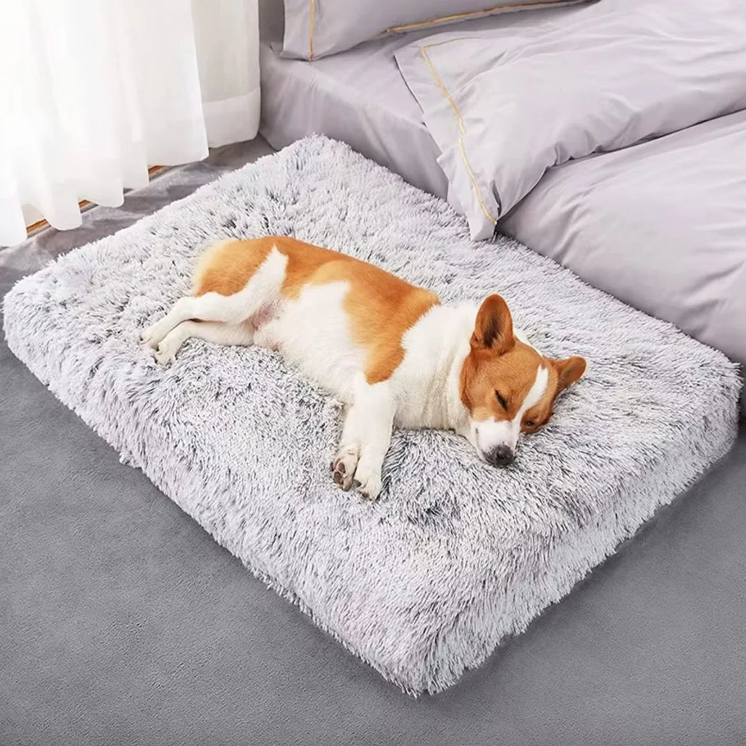 Mysigaste fluffiga hundbädden. Ger varm och mjuk komfort, en perfekt tvättbar djursäng.
