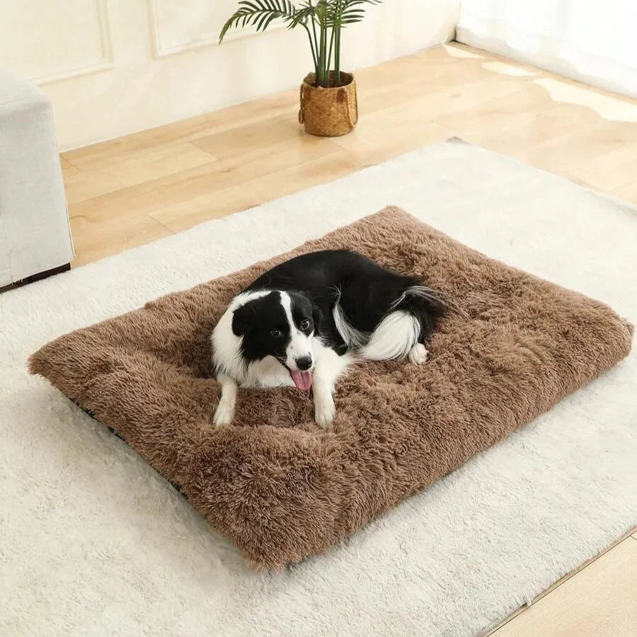 Fluffig djursäng för inomhusbruk. Mjuk och tvättbar kattbädd, en mysig tillflyktsort för ditt husdjur.