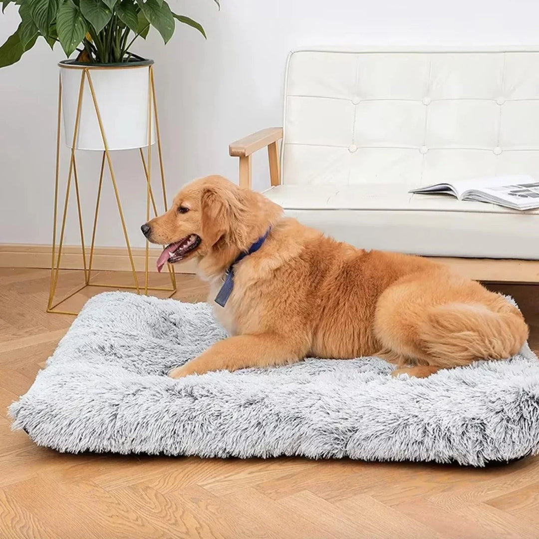 Mjuk kattbädd i fluffig design. Ger din katt en stressfri, mysig djursäng.