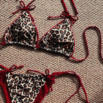 Rot