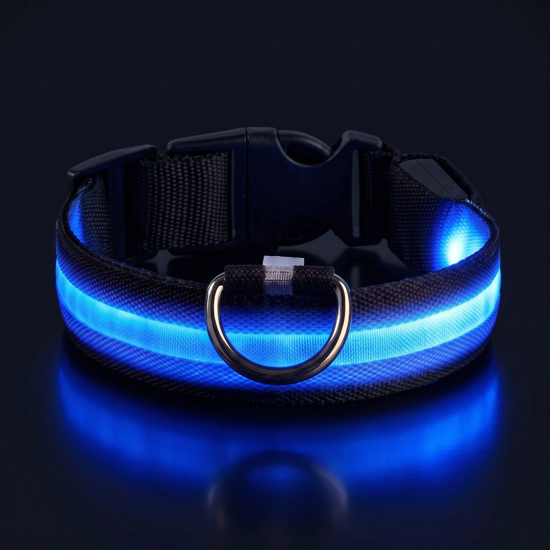 Lysande hundhalsband i mörker för ökad synlighet och säkerhet