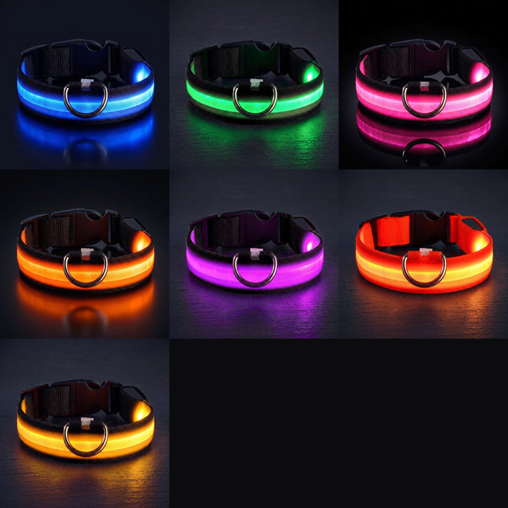 Uppladdningsbart LED-halsband för hund med USB-kabel för enkel laddning