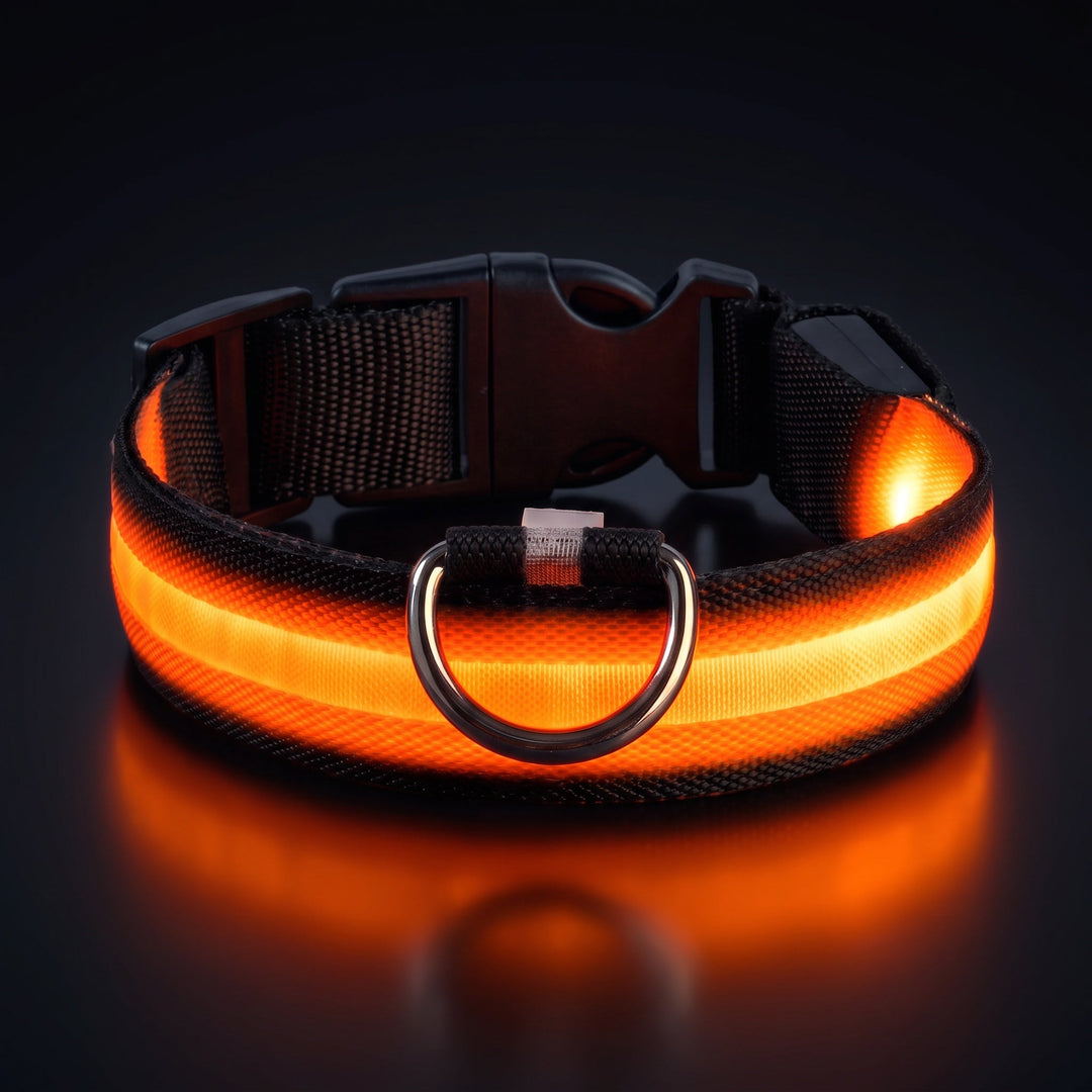 Hundhalsband med LED-ljus som lyser starkt i kvällsmörker