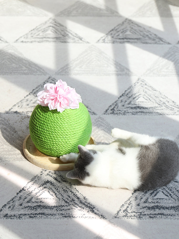 Roligt kaktus klösträd i sisal för din katt. Skydda möbler & ge husdjuret lekfull aktivering.
