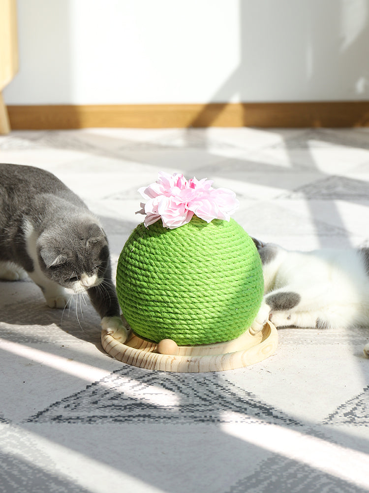 Slitstarkt kattklös i kaktusdesign. Bra för kattens klor & som stimulerande leksak för inomhuskatter.
