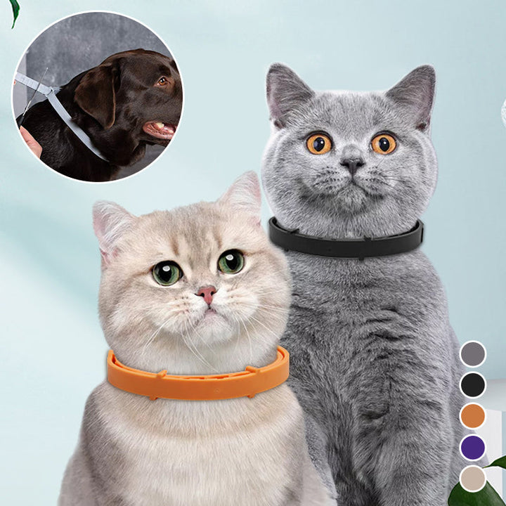 "Grön silikon avmaskningshalsband för hund och katt, justerbart och komfortabelt skydd mot parasiter i utomhusmiljöer."