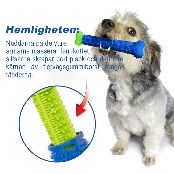 "Grön självrensande tuggborste i gummi för hundar, tandvårdsleksak för bättre munhälsa och lek."