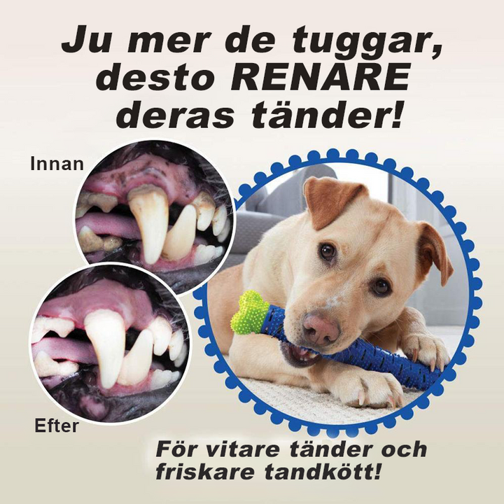 "Grön självrensande tuggborste i gummi för hundar, tandvårdsleksak för bättre munhälsa och lek."