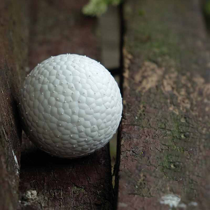 Present till hund: Hållbar ETPU tuggboll, en rolig och aktiverande hundleksak för alla hundraser.
