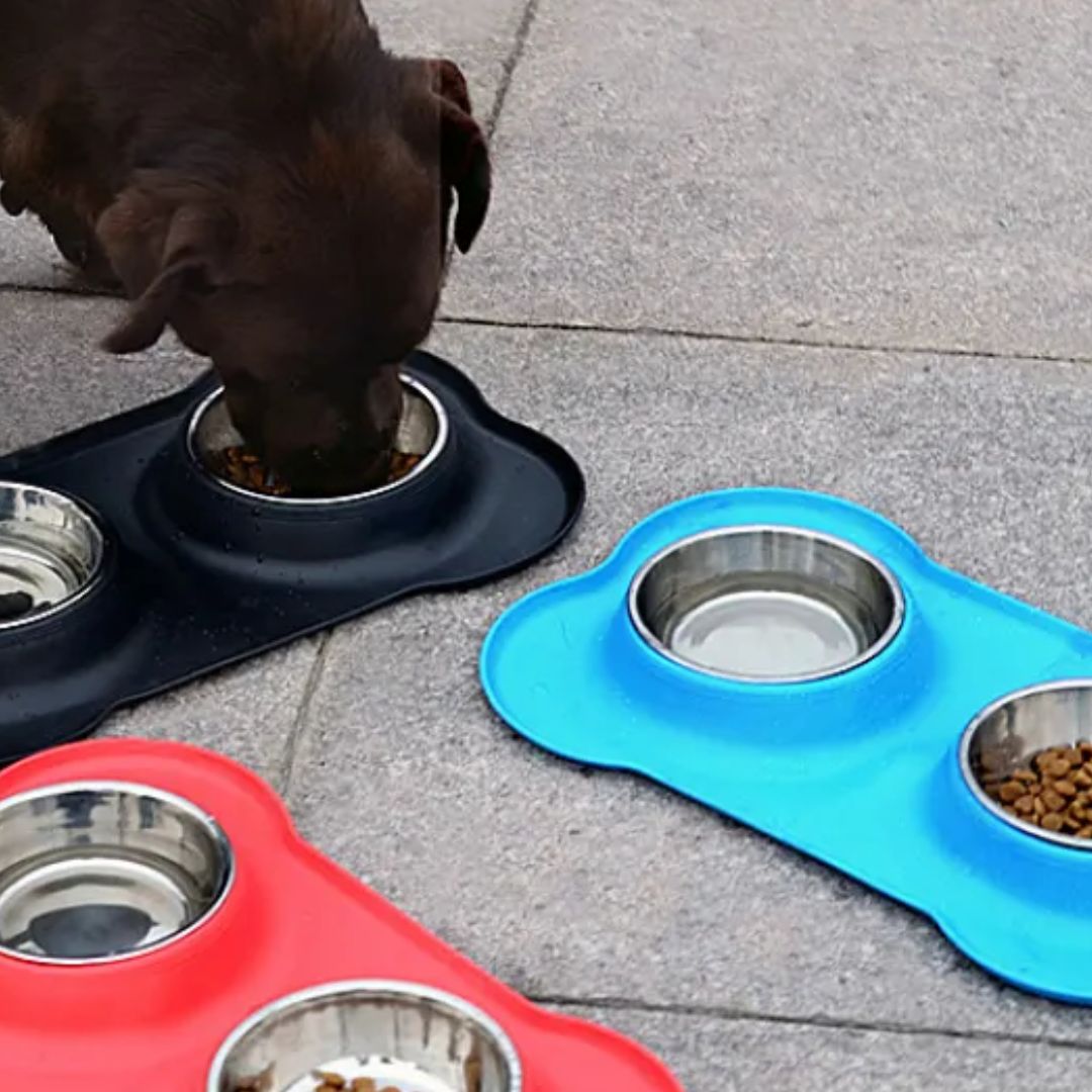 Två hundskålar i ett silikonunderlägg: en för hundmat, en för vatten. Halkfri & stabil matplats för hund.