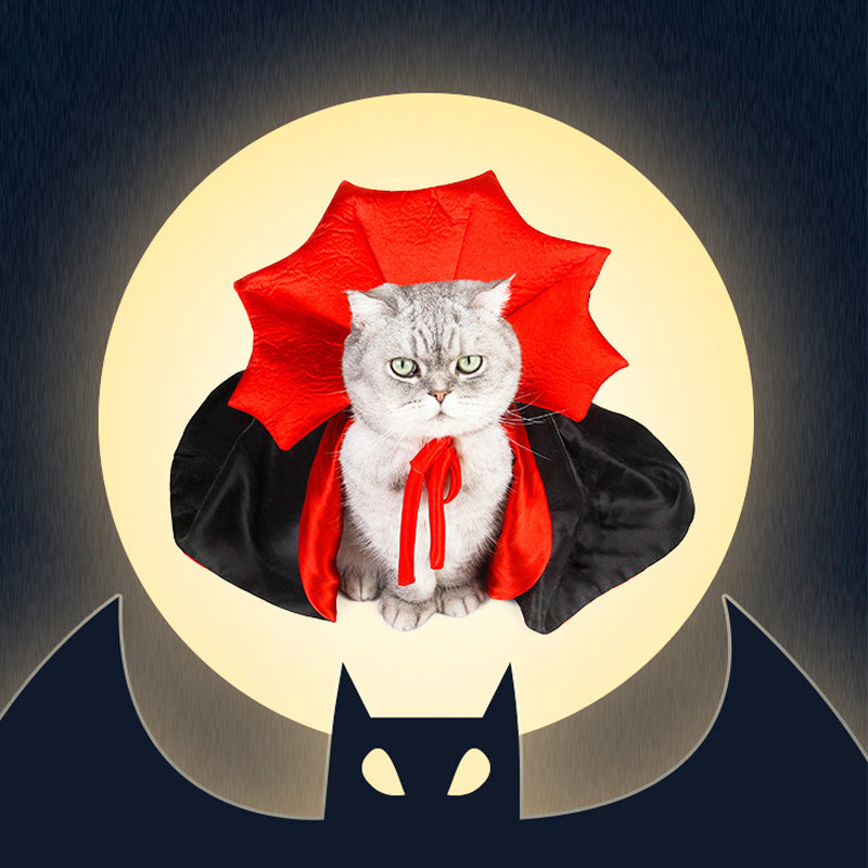 "Halloween Dracula husdjurskostym för katt och liten hund, svart och röd mantel, justerbar krage, dramatiskt stiligt."