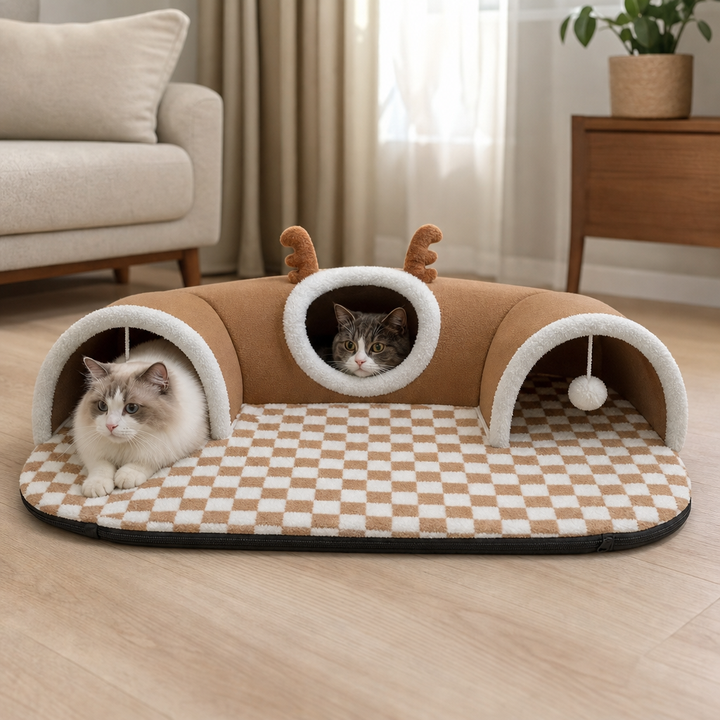 Katt som tittar ut genom mittöppningen på den mysiga kattunneln