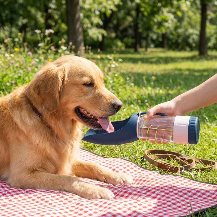 Hund som dricker ur den bärbara vattenflaskan utomhus på gräs