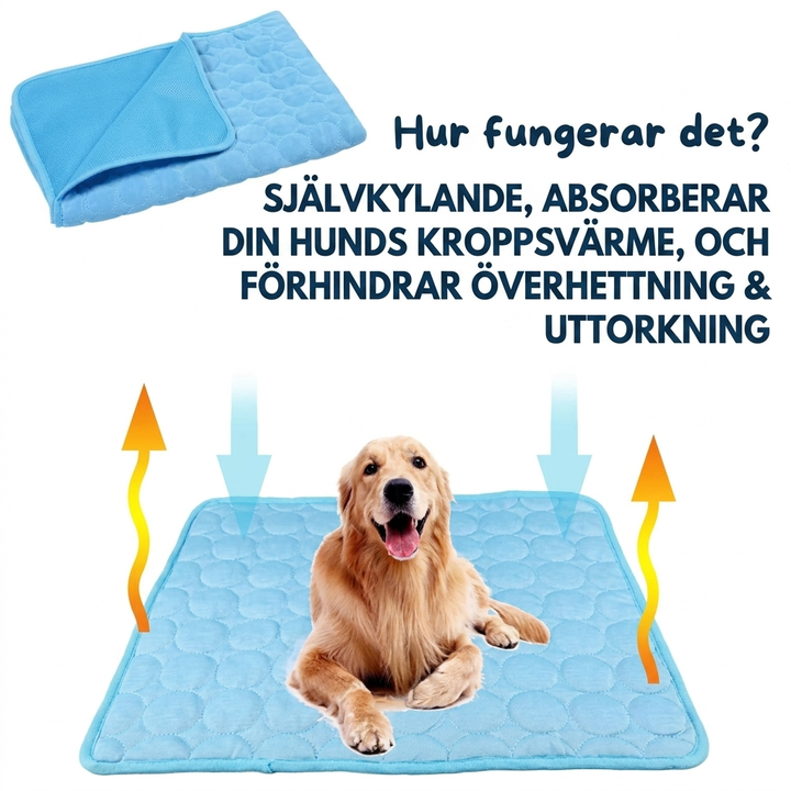 Husdjurstillbehör: svalkande matta som placeras på golvet för djurartiklar