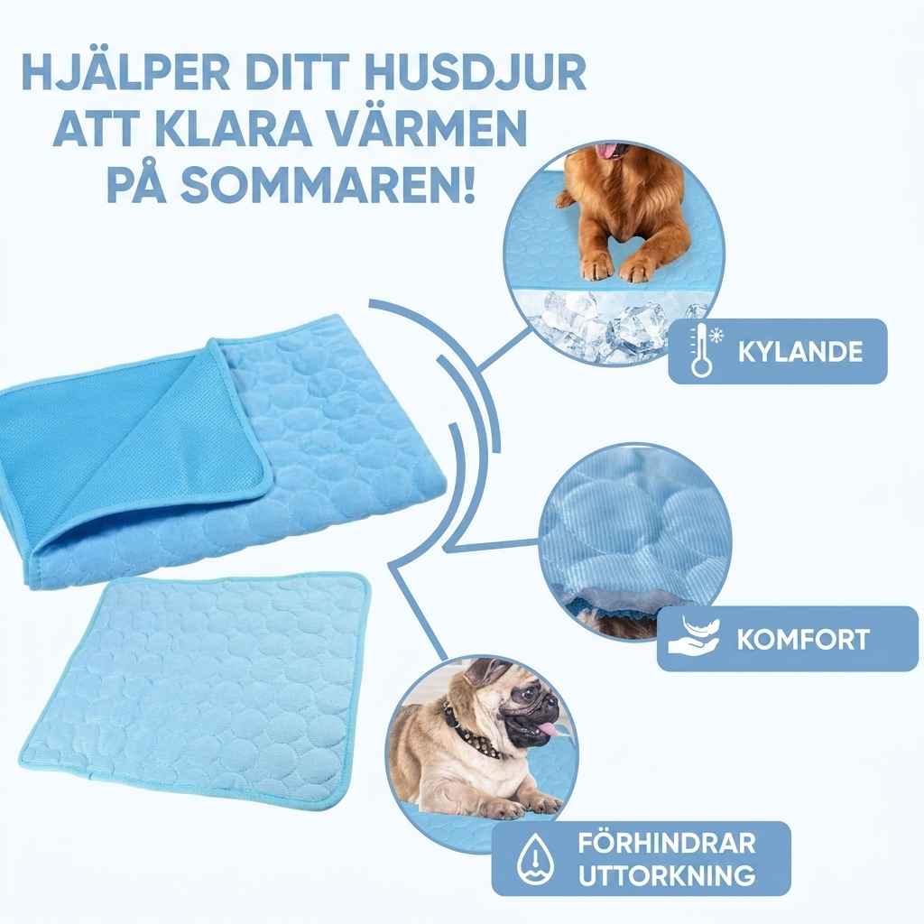 Halkfri hundbädd med kyleffekt för optimal komfort inomhus
