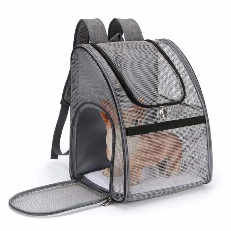 Hopfällbar hundryggsäck i svart för säker transport av små hundar och katter. Ventilerad design.