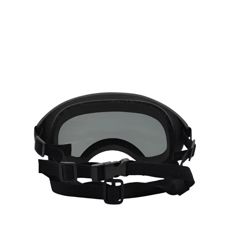Närbild på en hund med svarta skyddsglasögon. Justerbara remmar & UV-skydd garanterar optimal passform.