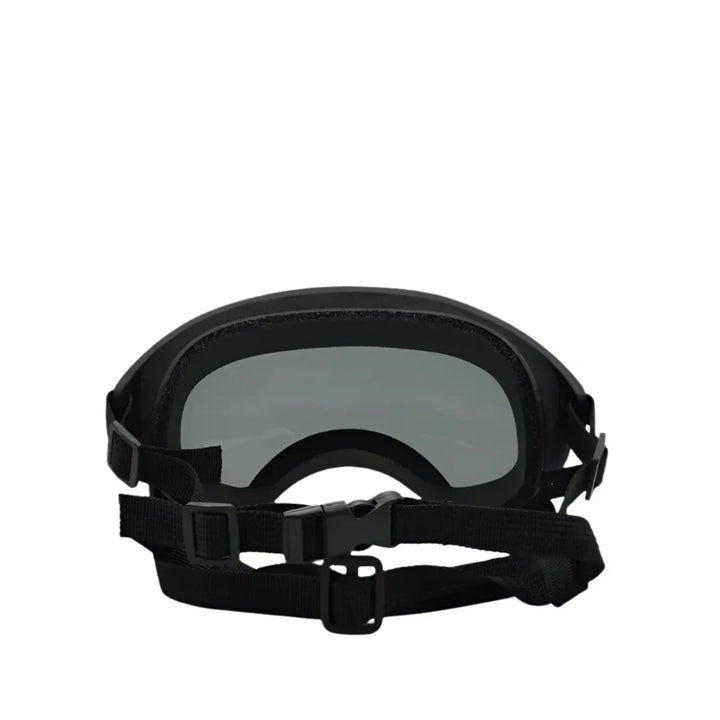 Närbild på en hund med svarta skyddsglasögon. Justerbara remmar & UV-skydd garanterar optimal passform.