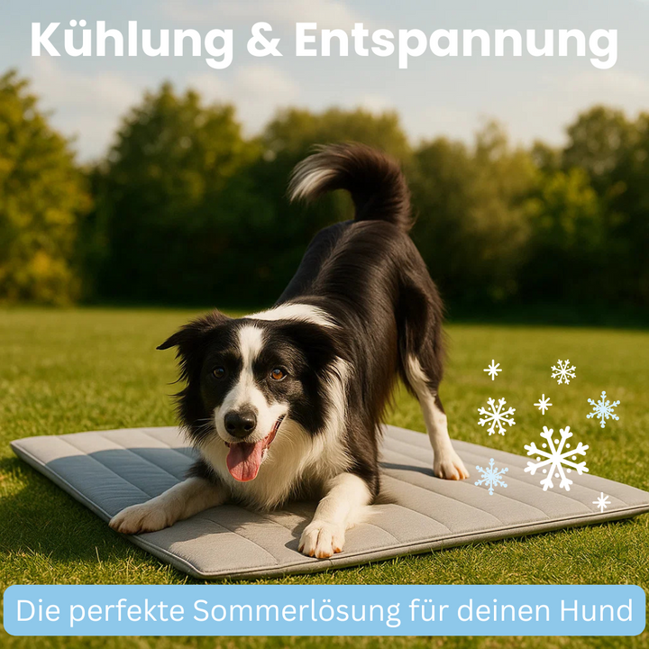 Valp sover lugnt på svalkande hundmatta. Ger komfort och skydd mot värme för unga hundar och valpar.