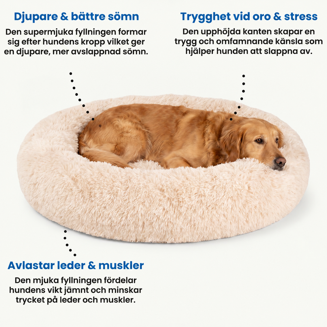 Illustration över Zvarelo hundbäddens ergonomiska fördelar och stöd