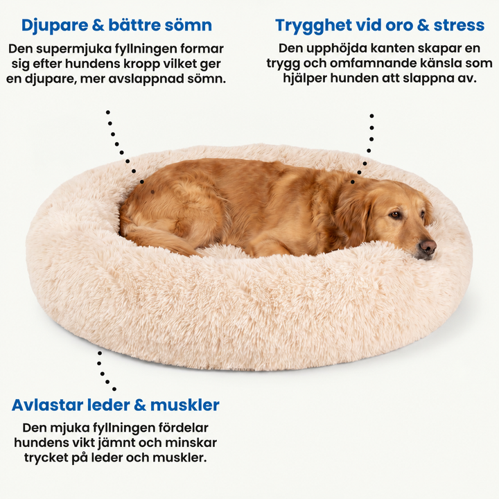 Illustration över Zvarelo hundbäddens ergonomiska fördelar och stöd