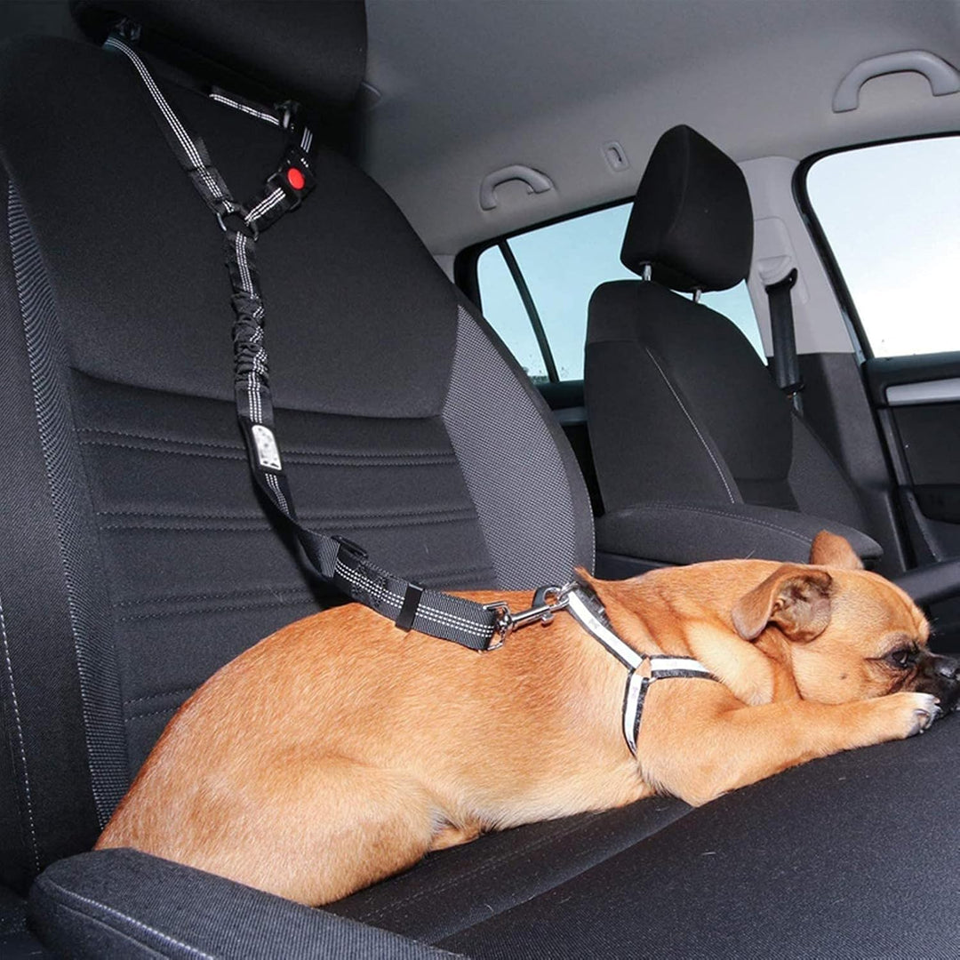 Justerbart hundbilbälte för bekväm och säker bilresa. Husdjursbälte för alla raser i bilen.