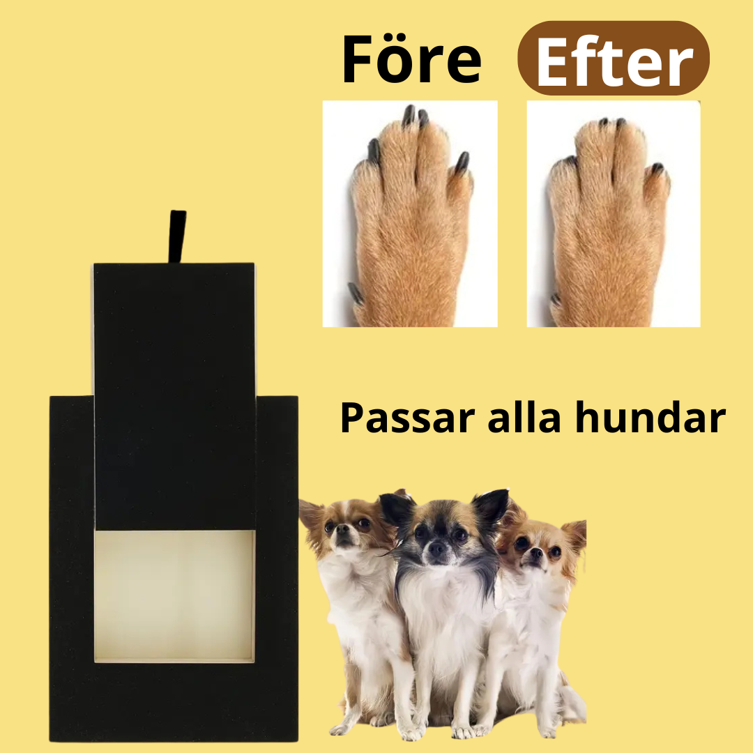 Detaljbild av självslipande klobräda i hållbar bambu. Effektiv kloslip för hundar och valpar med belöning.