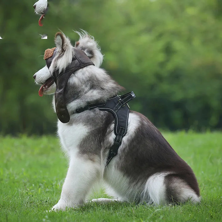 Detaljbild av högkvalitativa läderöronskydd för hund. Varmt, bekvämt vintertillbehör.