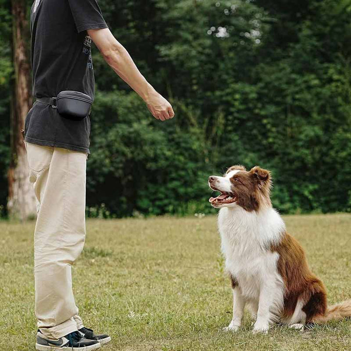 Silikonväska för hundträning – perfekt godisbehållare för belöning under lydnad och agility. Praktiskt hundtillbehör.