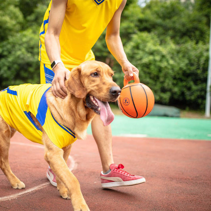 Hundleksak: Aktiverande gummiboll med handtag för interaktiv lek & hundträning. Bitvänlig för stor & medelstor hund.