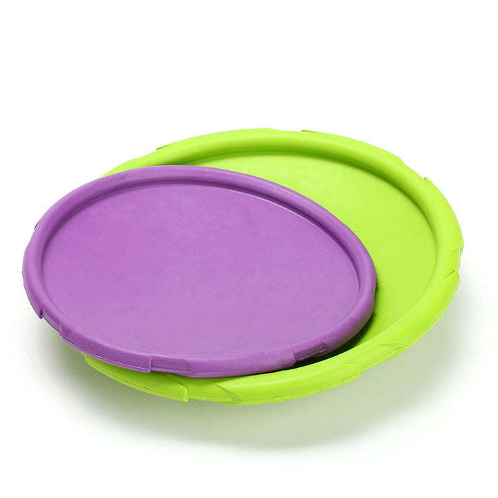 Ägare kastar flygande disc hundleksak för hundträning och rolig apportering i parken.
