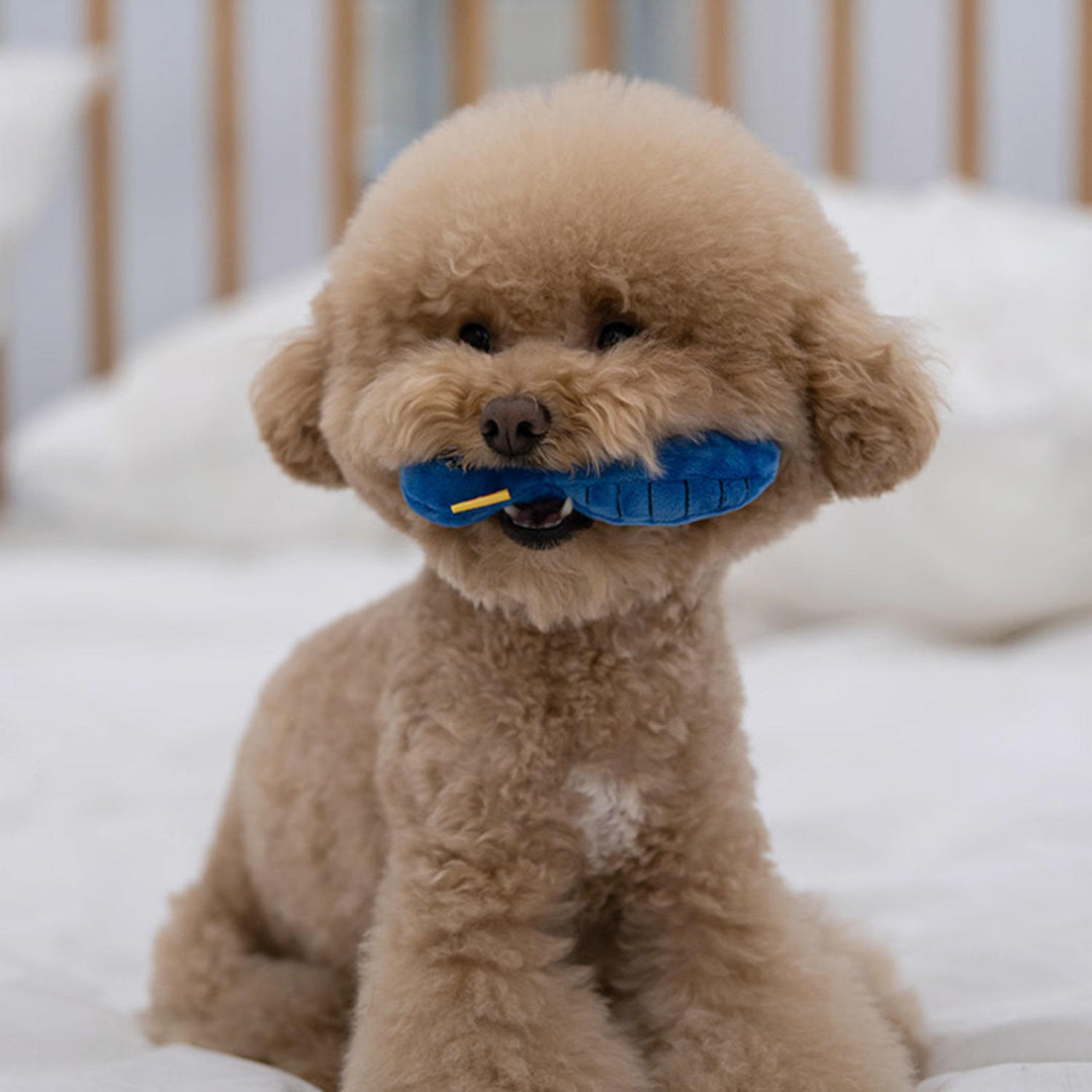 Närbild på färgglad hundleksak med ljud, designad för att glädja och aktivera din hund.