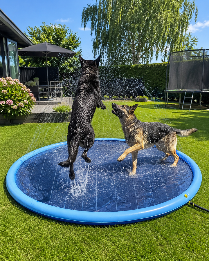 Två stora hundar som hoppar och leker i svalkande hundpool med fontän
