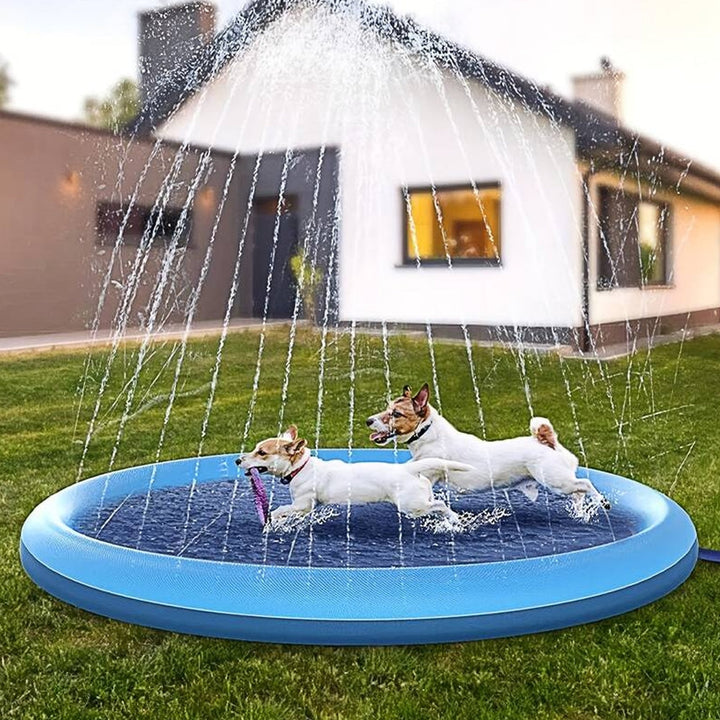 Två glada hundar springer genom vattenstrålarna i en blå hundpool