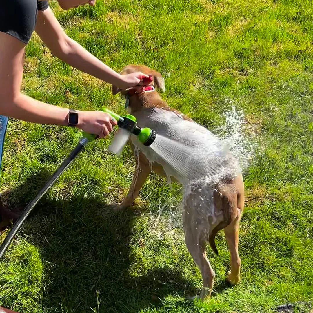 Hundschampo spray för skonsam rengöring och glansig päls. Enkel pälsvård för husdjur.