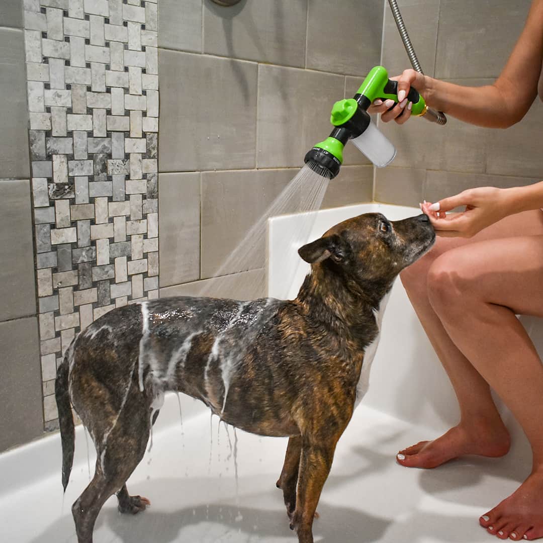 För alla husdjur. Denna hundschampo spray säkerställer renhet och en imponerande glansig päls.