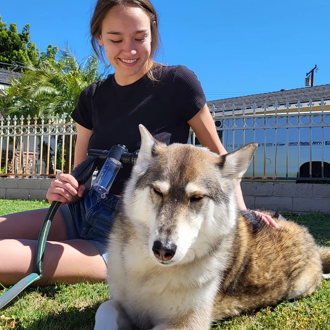 Skonsam hundschampo spray med mild formula för känslig hundhud. Ger en glänsande och ren päls.